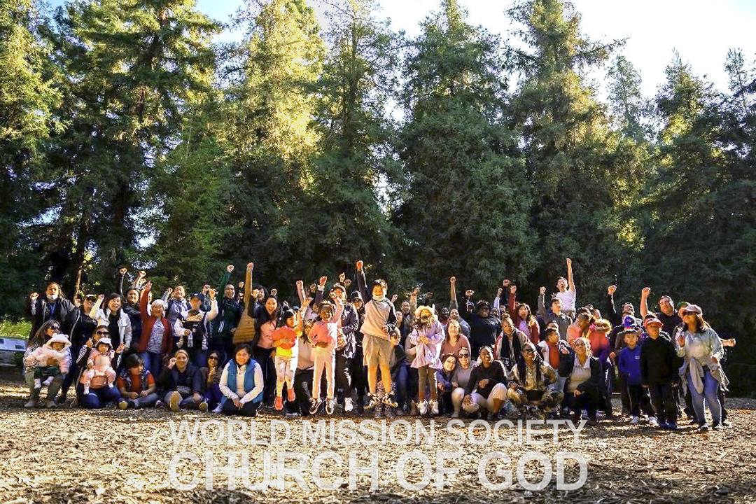 Read more about the article A Lesson From the Redwoods